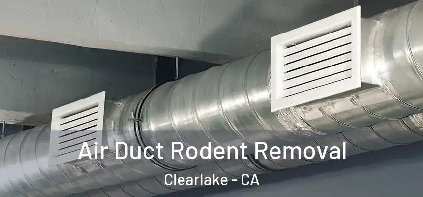  Air Duct Rodent Removal Clearlake - CA