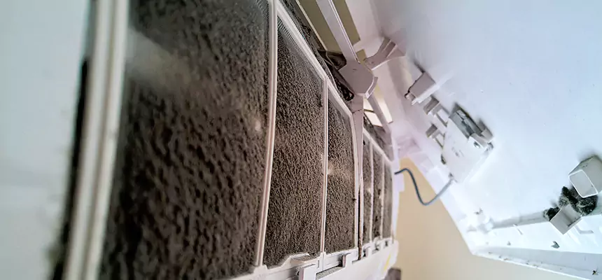 Preventive Air Duct Bacteria Removal in Clearlake