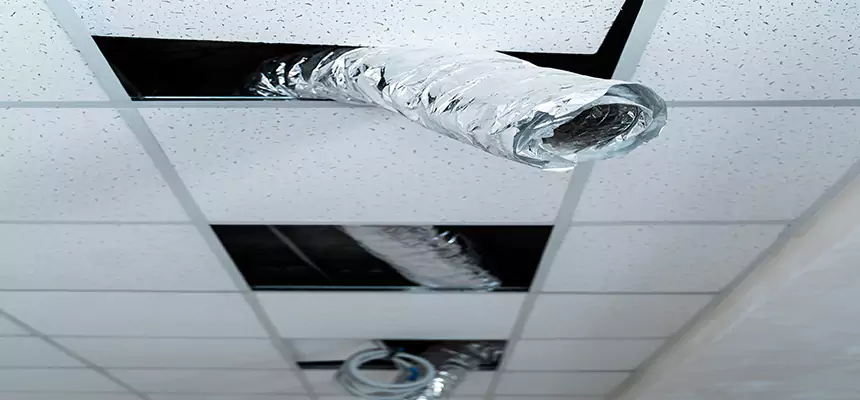 Affordable HVAC Sanitizing After Pest Removal in Clearlake