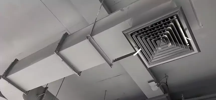 Restorative Allergy Relief Vent Cleaning – Coil, Blower & Housing Detail in Clearlake