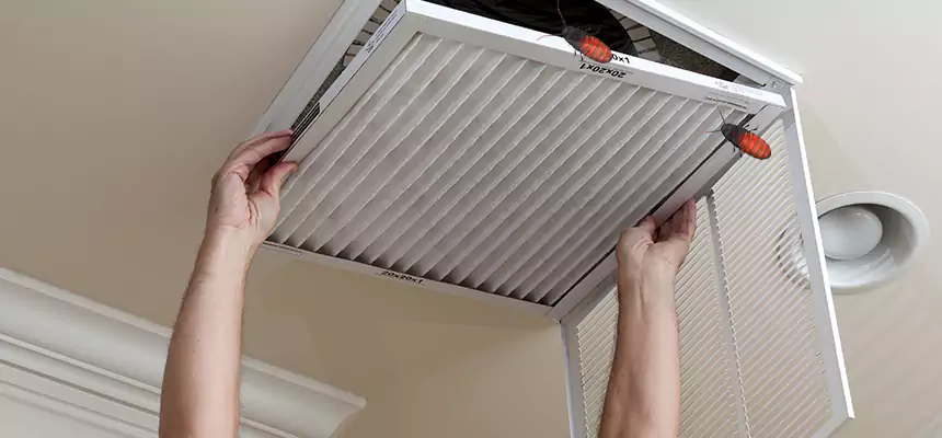 Our Insect Removal from Air Ducts Services in Clearlake, CA