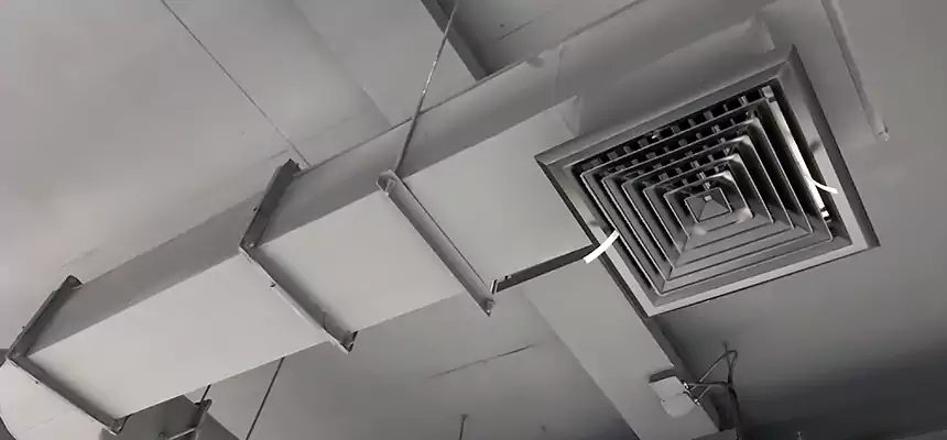 Our Pest Removal From Ducts Services in Clearlake, CA