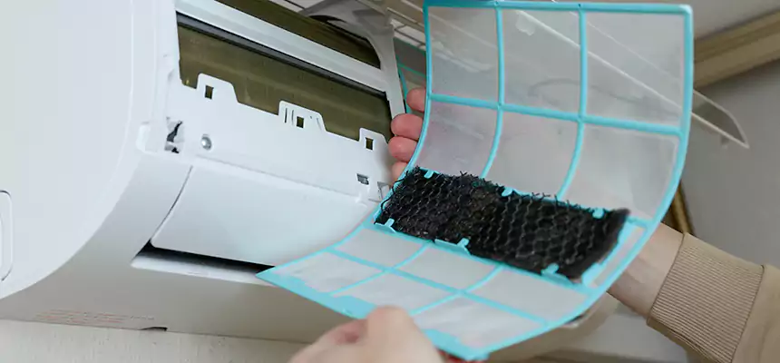 Gentle Ductwork Odor-Control Pet Dander Duct Cleaning in Clearlake, CA