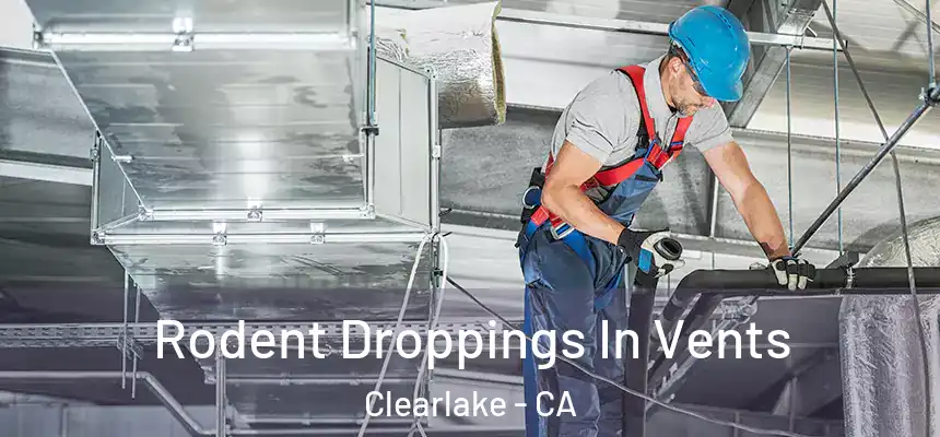  Rodent Droppings In Vents Clearlake - CA