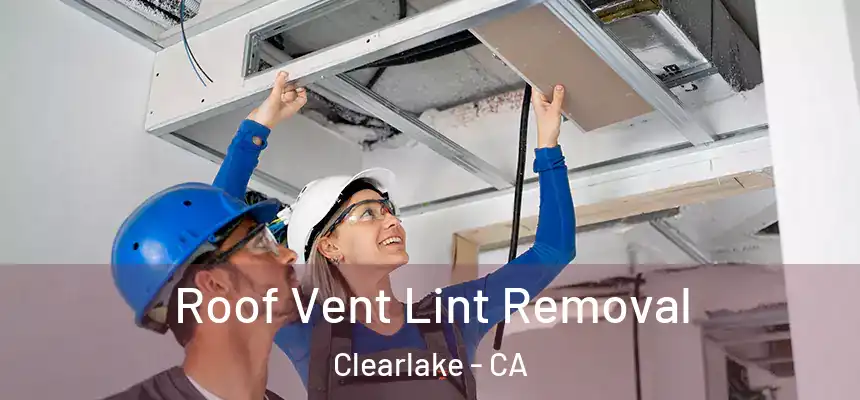  Roof Vent Lint Removal Clearlake - CA