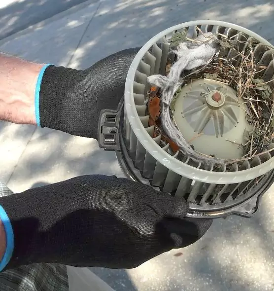 About Air Duct Mice Removal in Clearlake, CA