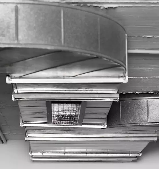 Professional Air Duct Pet Hair Removal in Clearlake, CA