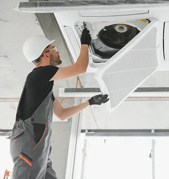 About Air Duct Rodent Removal in Clearlake, CA