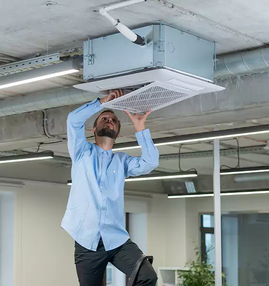 Advanced Rodent Droppings In Vents in Clearlake, CA