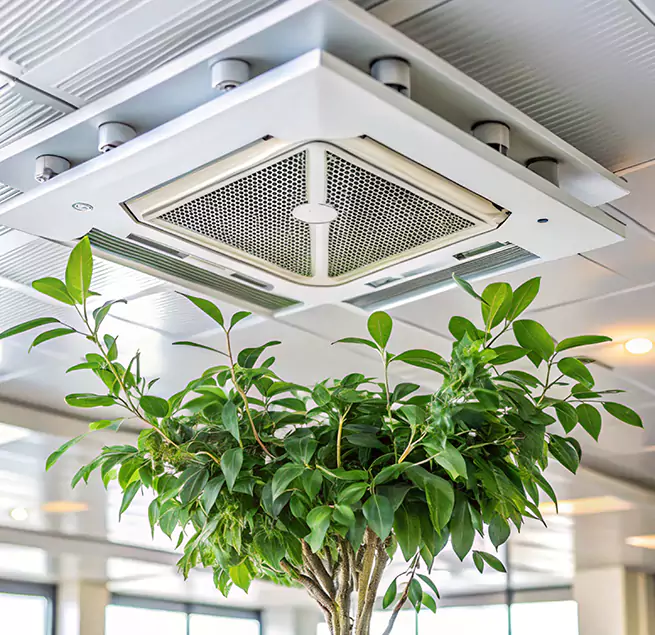 Why Homeowners & Businesses Trust Us in Clearlake, CA?