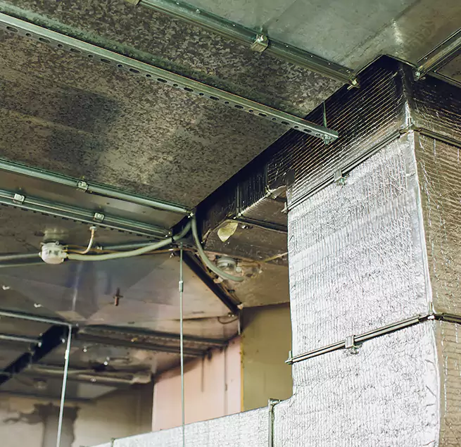 Why Homeowners & Businesses Trust Us in Clearlake, CA?